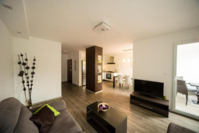 Apartment Saša